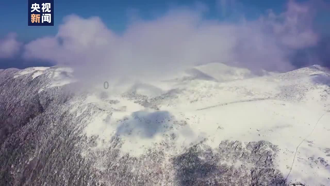 超奥特曼格斗