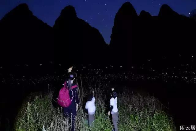《我的秘密室友》主题曲是什么?-专业有问必答平台,快速获取解答