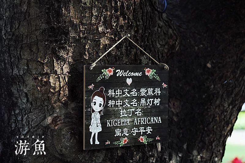 大庆乘风警方破获一起帮助信息网络犯罪活动案件