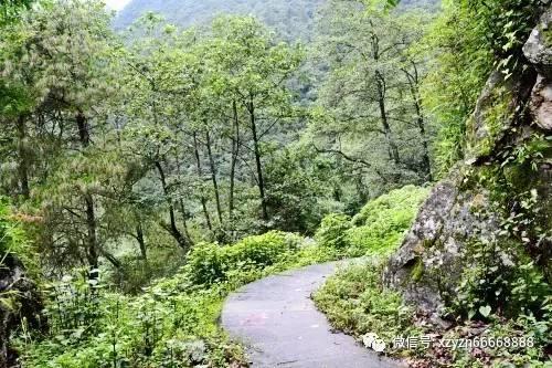 发动机冷却系统在制造过程中有哪些问题？游戏画面