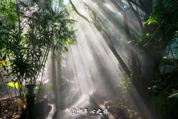 如果亲戚家的熊孩子在过年期间来到你家，你会怎样对他？游戏画面