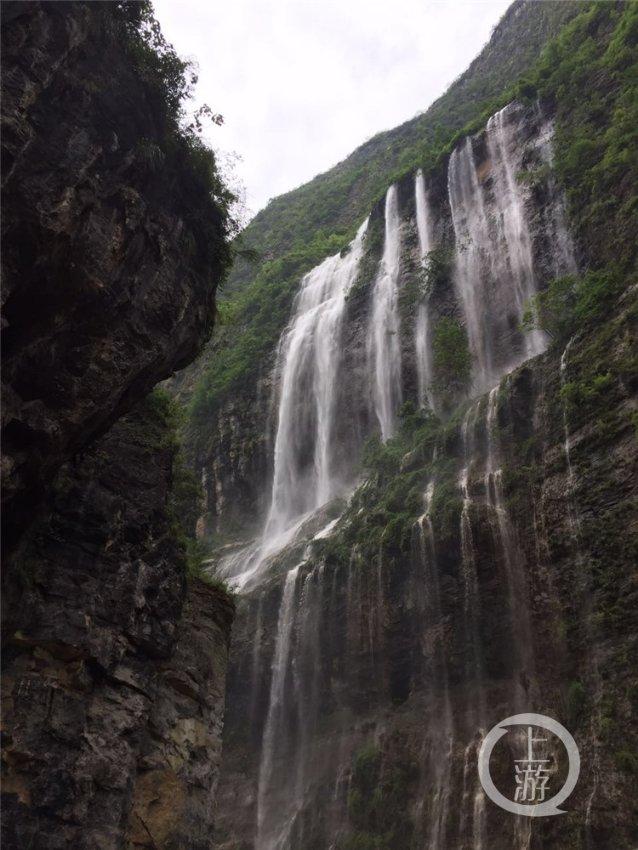 救援受困的火鸡