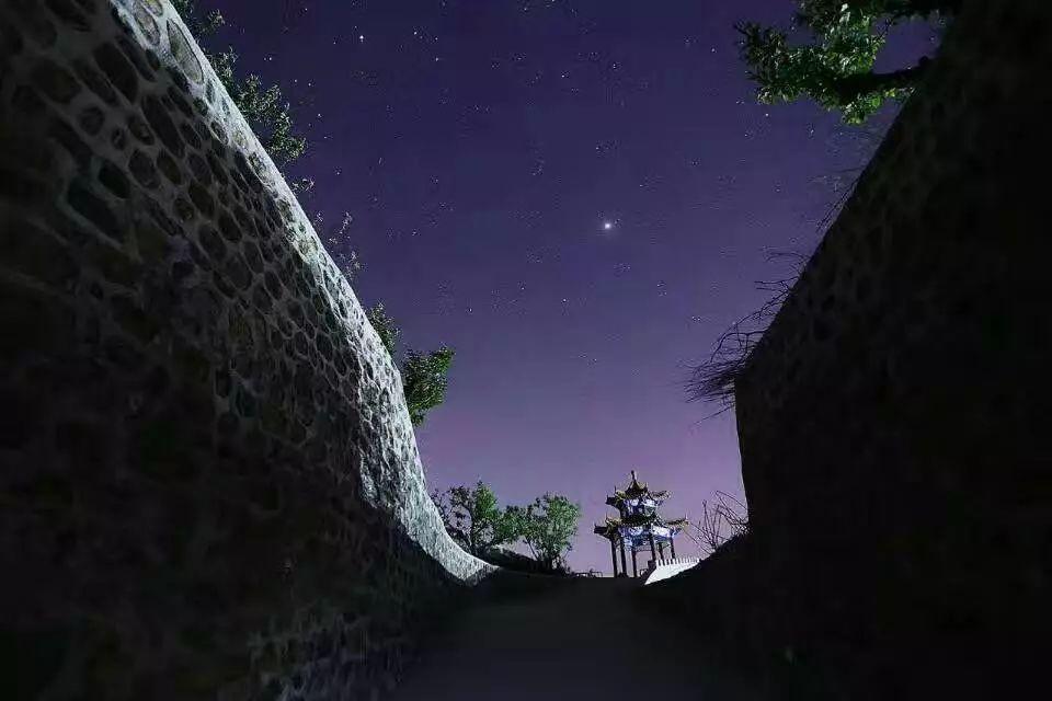 阿尔的派对夜