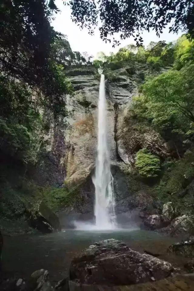 逗小猴开心系列179