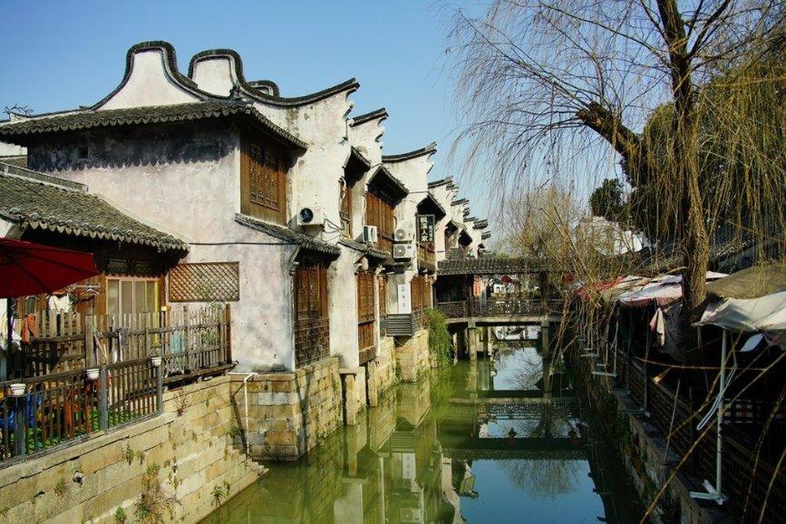 我修的可能是假仙