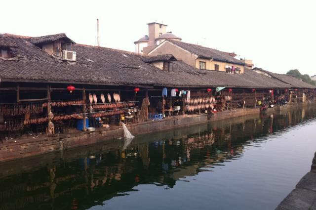 小狗救援行动选关版