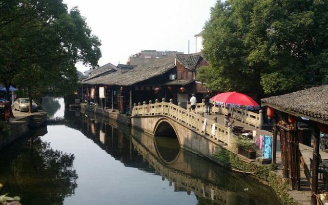 照顾小兔宝宝