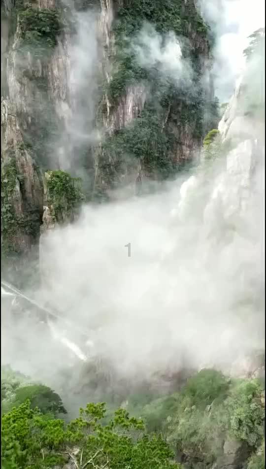 植物大战僵尸15